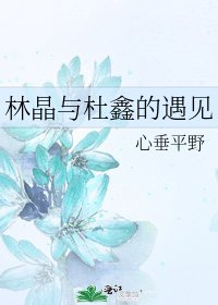 林晶与杜鑫的遇见